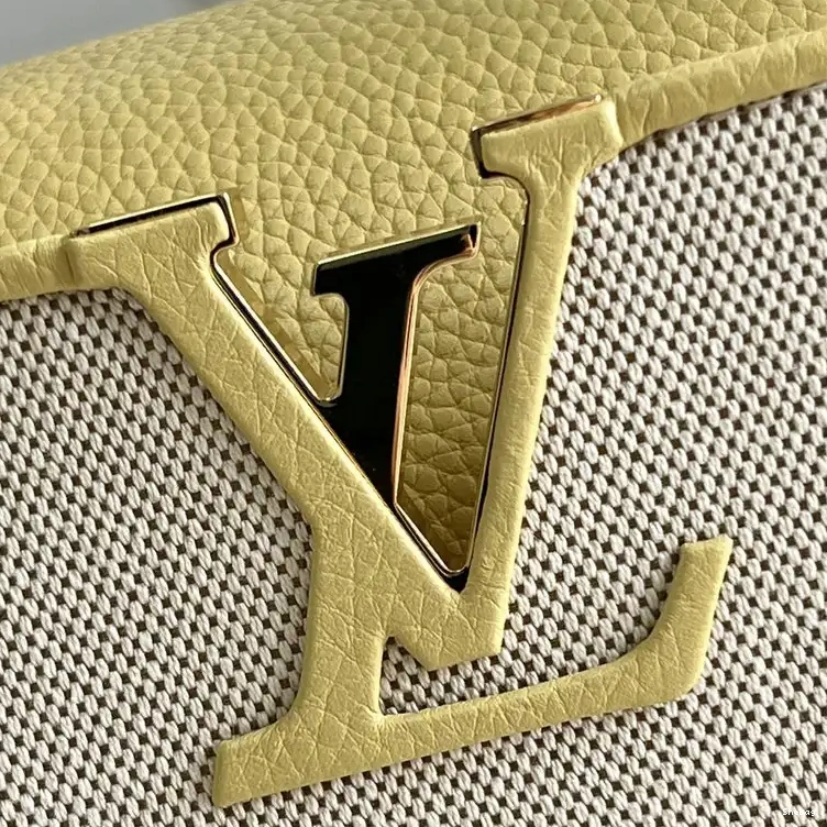 2207YA0088 Bag LV 0810